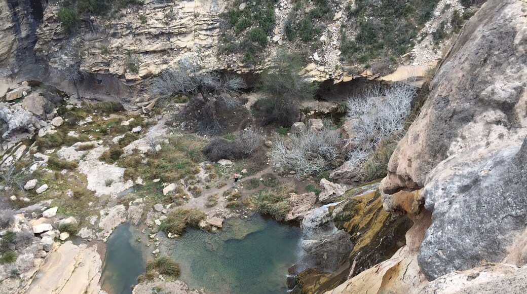 The pools that make up the base of Sitting Bull Falls are a brisk 70 degrees F (estimate) in the springtime and very welcoming for a dive and swim. The bottom is easily accessed via a short paved walkway, but beware: the rocks are very slippery and you may jump in before you mean to!