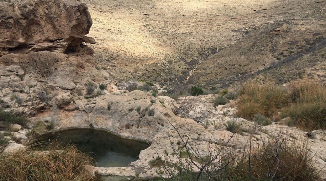 Pools atop the cliff from which Sitting Bill Falls cascade. This beautiful spot is a short but intense hike to reach; well worth the effort!