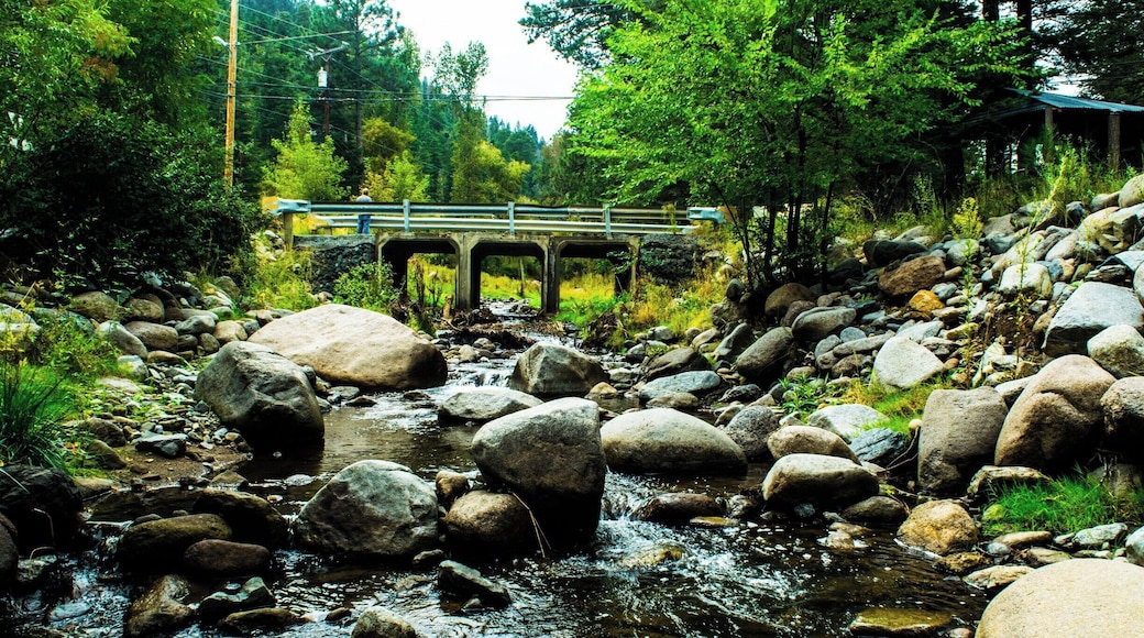 Stopped for a walk along the river. Lots of deer on the bank!
#River
#NewMexico
#Hiking