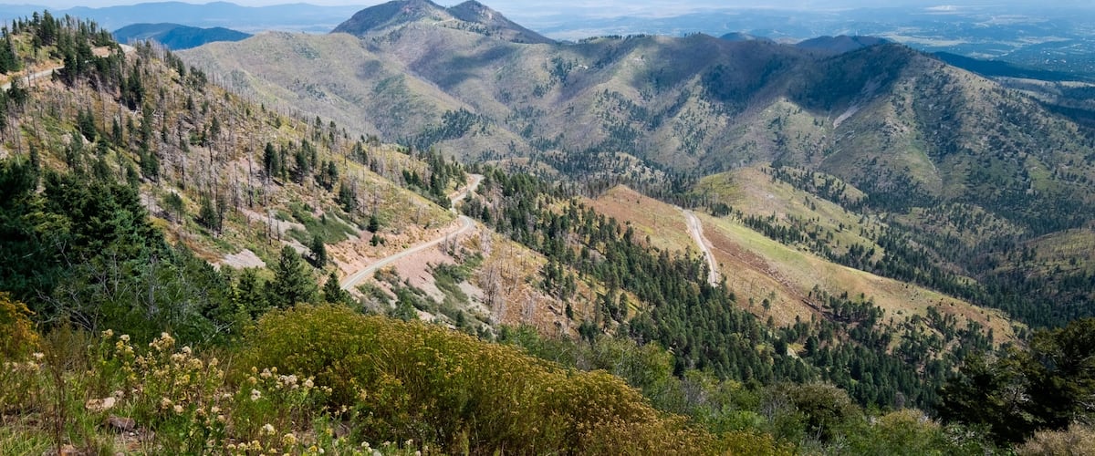 A mountainous landscape with winding roads and dense forests.