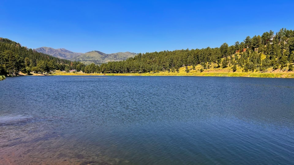 A calm lake surrounded by dense forests and distant mountains under a clear blue sky.