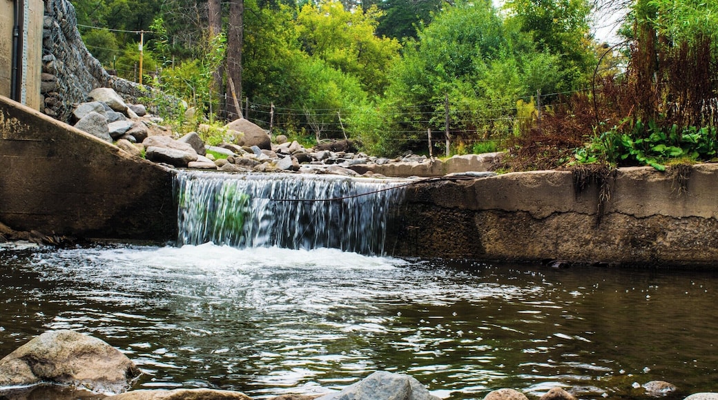 Ran into an unkempt dam along the river. Kinda cool,
#Waterfall
#River
#NewMexico