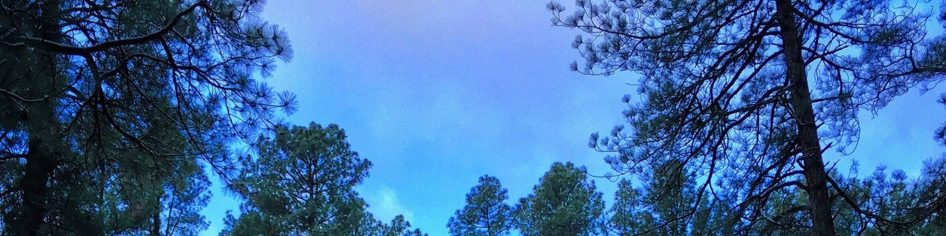 If you need a nice cabin while in Ruidoso, this place has the goods.