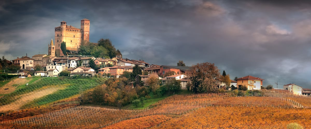 A historic town with a prominent castle on a hill, surrounded by vineyards and houses.