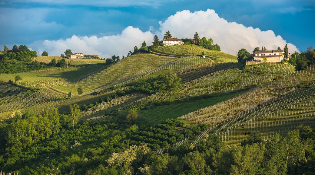 Langhe