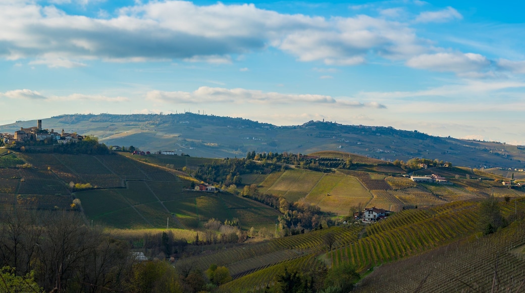 Monferrato Region