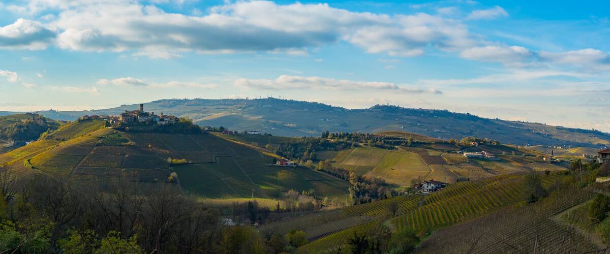 A valley with terraced vineyards and a small village on a hill.