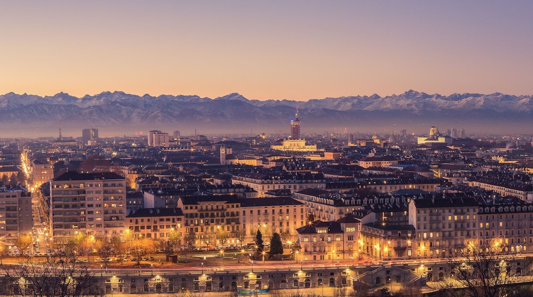 Area Metropolitana di Torino