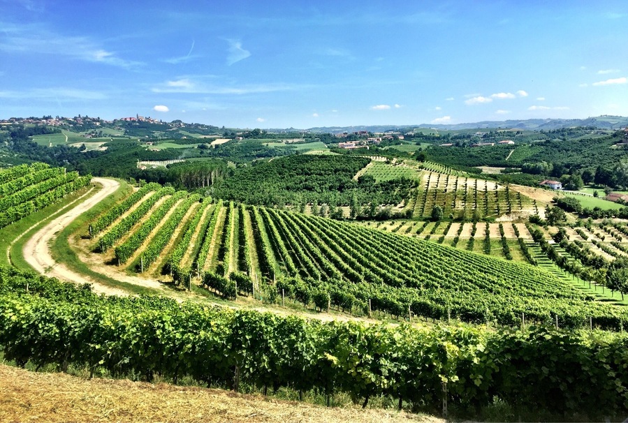 Wine country