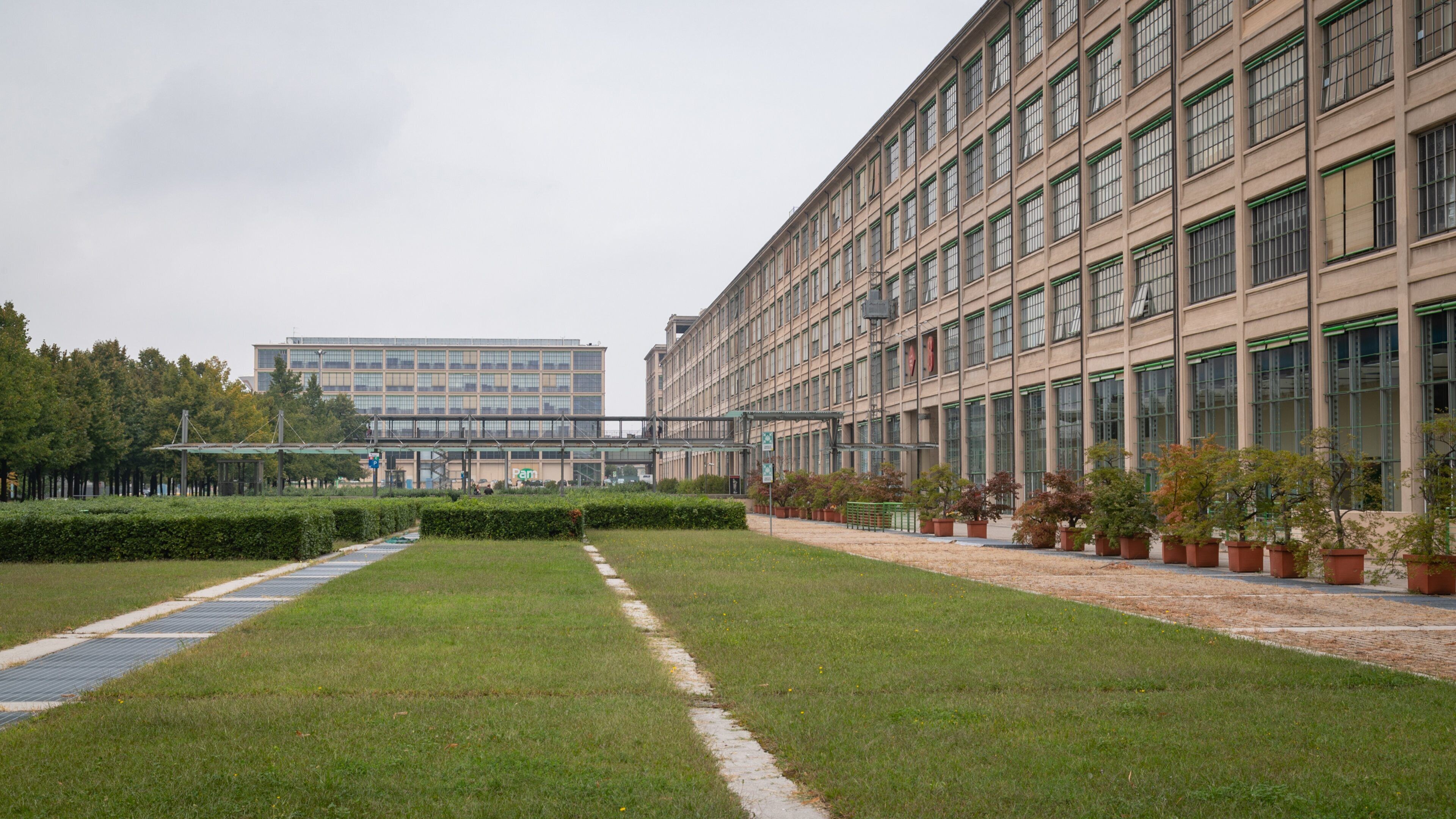 Lingotto featuring a garden