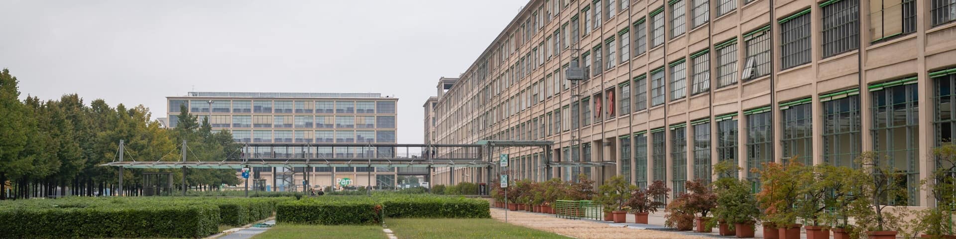 A grassy courtyard with a pathway, potted plants, and a large building with multiple windows.