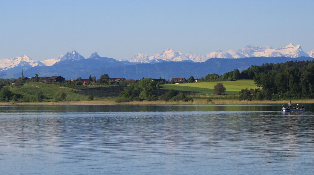 Shore of Lake Pfaffikon in spring, Wetzikon and snow capped mountains.