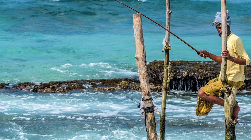 Ritipanna is the Sinhalese term for stilt fishing, which is a traditional method for fishing practiced by most fishermen along the southern coast of Sri Lanka. This art is popularly seen in areas such as Ahangama, Koggala, Welipenna, Kathaluwa and Thalarambe. A narrow pole is tied to a stick that is anchored on the sea bed. Fisher folk climb onto this stick and settle on the pole for a few hours in an effort to catch some fish.
Fishermen found on stilts are those who do not have access to sophisticated equipment for fishing. These men can make a living simply with the help of two wooden poles to make a stilt. One pole is nailed onto the sea bed and the other is placed like a cross bar and acts as a plank for the fishermen to sit on. Each stilt can accommodate only one fisherman. For catching fish, they create a rod made of Kithul, and a small plastic bag is tied around their waist to hold the fish that they catch. With one hand they hold onto the stilt and with the other they hold the rod that catches fish. The tradition of stilt fishing will always be practiced by those who cannot afford to invest in modern fishing equipment.
#likealocal