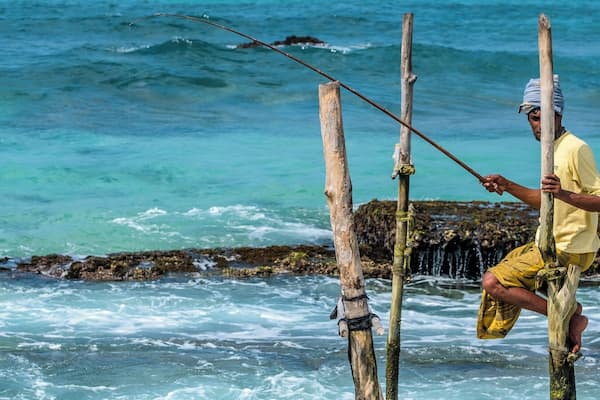 Ritipanna is the Sinhalese term for stilt fishing, which is a traditional method for fishing practiced by most fishermen along the southern coast of Sri Lanka. This art is popularly seen in areas such as Ahangama, Koggala, Welipenna, Kathaluwa and Thalarambe. A narrow pole is tied to a stick that is anchored on the sea bed. Fisher folk climb onto this stick and settle on the pole for a few hours in an effort to catch some fish.
Fishermen found on stilts are those who do not have access to sophisticated equipment for fishing. These men can make a living simply with the help of two wooden poles to make a stilt. One pole is nailed onto the sea bed and the other is placed like a cross bar and acts as a plank for the fishermen to sit on. Each stilt can accommodate only one fisherman. For catching fish, they create a rod made of Kithul, and a small plastic bag is tied around their waist to hold the fish that they catch. With one hand they hold onto the stilt and with the other they hold the rod that catches fish. The tradition of stilt fishing will always be practiced by those who cannot afford to invest in modern fishing equipment.
#likealocal