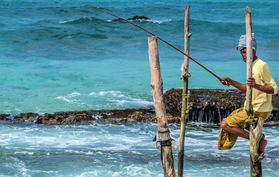 Ritipanna is the Sinhalese term for stilt fishing, which is a traditional method for fishing practiced by most fishermen along the southern coast of Sri Lanka. This art is popularly seen in areas such as Ahangama, Koggala, Welipenna, Kathaluwa and Thalarambe. A narrow pole is tied to a stick that is anchored on the sea bed. Fisher folk climb onto this stick and settle on the pole for a few hours in an effort to catch some fish.
Fishermen found on stilts are those who do not have access to sophisticated equipment for fishing. These men can make a living simply with the help of two wooden poles to make a stilt. One pole is nailed onto the sea bed and the other is placed like a cross bar and acts as a plank for the fishermen to sit on. Each stilt can accommodate only one fisherman. For catching fish, they create a rod made of Kithul, and a small plastic bag is tied around their waist to hold the fish that they catch. With one hand they hold onto the stilt and with the other they hold the rod that catches fish. The tradition of stilt fishing will always be practiced by those who cannot afford to invest in modern fishing equipment.
#likealocal