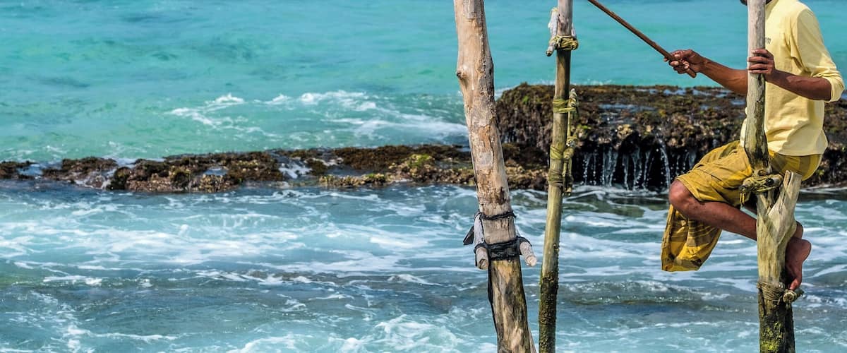 Ritipanna is the Sinhalese term for stilt fishing, which is a traditional method for fishing practiced by most fishermen along the southern coast of Sri Lanka. This art is popularly seen in areas such as Ahangama, Koggala, Welipenna, Kathaluwa and Thalarambe. A narrow pole is tied to a stick that is anchored on the sea bed. Fisher folk climb onto this stick and settle on the pole for a few hours in an effort to catch some fish.
Fishermen found on stilts are those who do not have access to sophisticated equipment for fishing. These men can make a living simply with the help of two wooden poles to make a stilt. One pole is nailed onto the sea bed and the other is placed like a cross bar and acts as a plank for the fishermen to sit on. Each stilt can accommodate only one fisherman. For catching fish, they create a rod made of Kithul, and a small plastic bag is tied around their waist to hold the fish that they catch. With one hand they hold onto the stilt and with the other they hold the rod that catches fish. The tradition of stilt fishing will always be practiced by those who cannot afford to invest in modern fishing equipment.
#likealocal