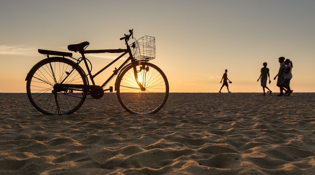 Bicycle Standing on the Beach During Sunset in Hikkaduwa, Sri Lanka