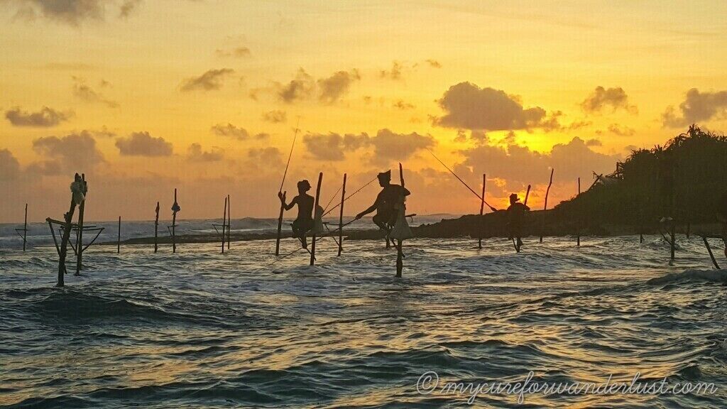 People standing in shallow water with fishing rods, silhouetted against a sunset sky.
