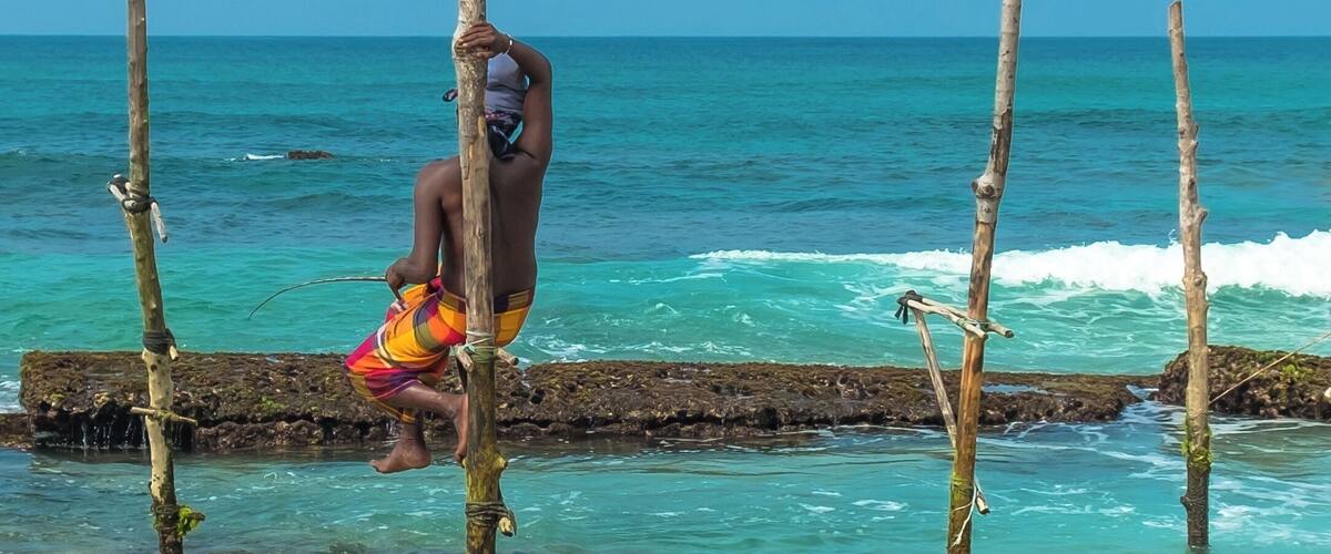 The area around Koggala is one of the best places on Sri Lanka's south coast to see traditional stilt fishermen in action. This famed practice has become one of the most distinctive sights of Sri Lanka. It started just after World War II, when the rocks and shoreline became too crowded so as a result fishermen started using the ship and aircraft wrecks to fish. This developed to fixed stilts in the shoreline for fishermen to use and pass on to the next generation.
#LikeALocal