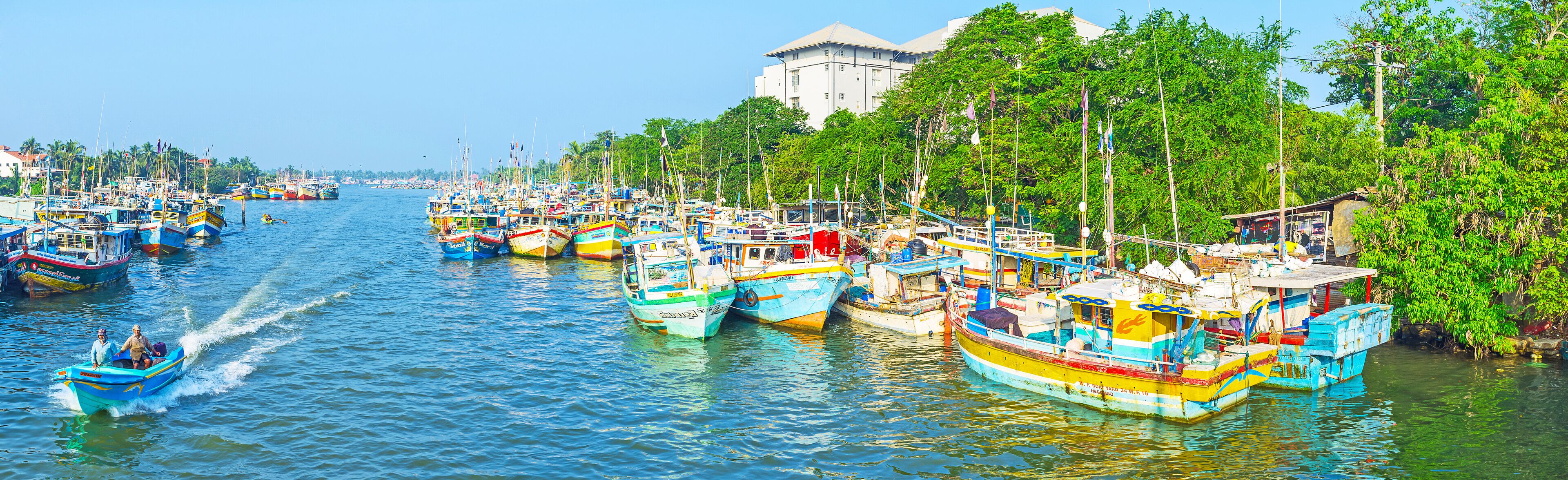 Panorama of Negombo fishing port, Sri Lanka