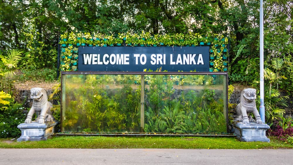 A welcome sign with a lush green backdrop and two stone lion statues.