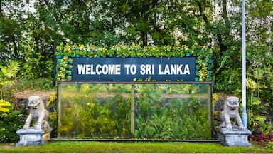 Seeduwa - Katunayake