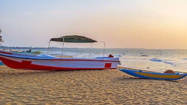 The sunset in Negombo, Sri Lanka