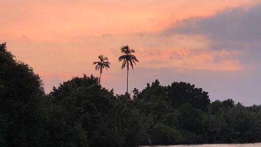 Tangalle lagoon - great for bird watching