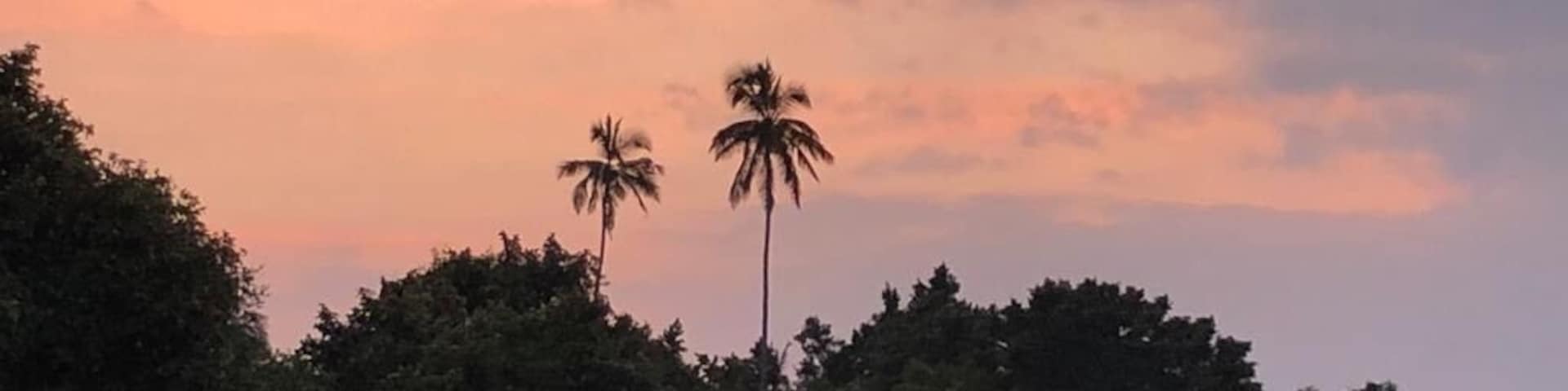 Tangalle lagoon - great for bird watching