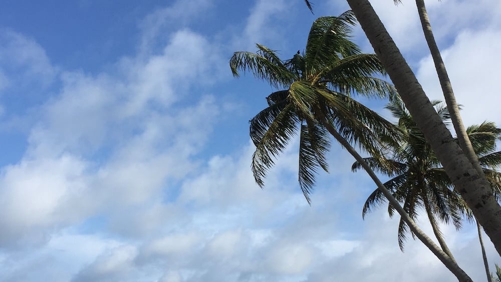 The beach at the Blue Water Hotel