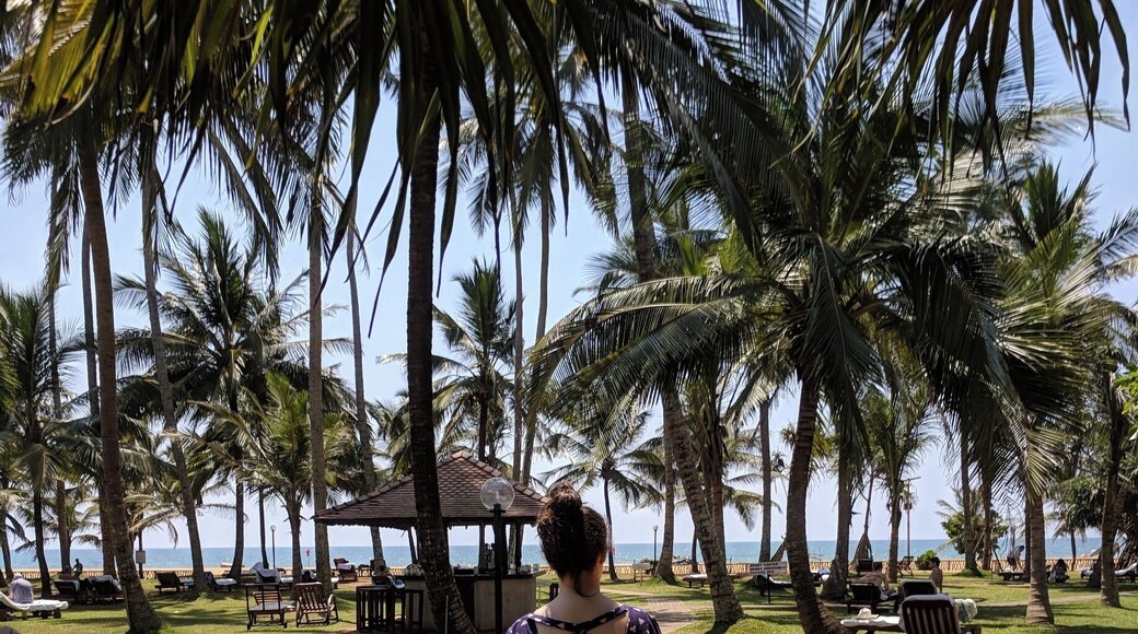 Find some shade when it gets too hot!