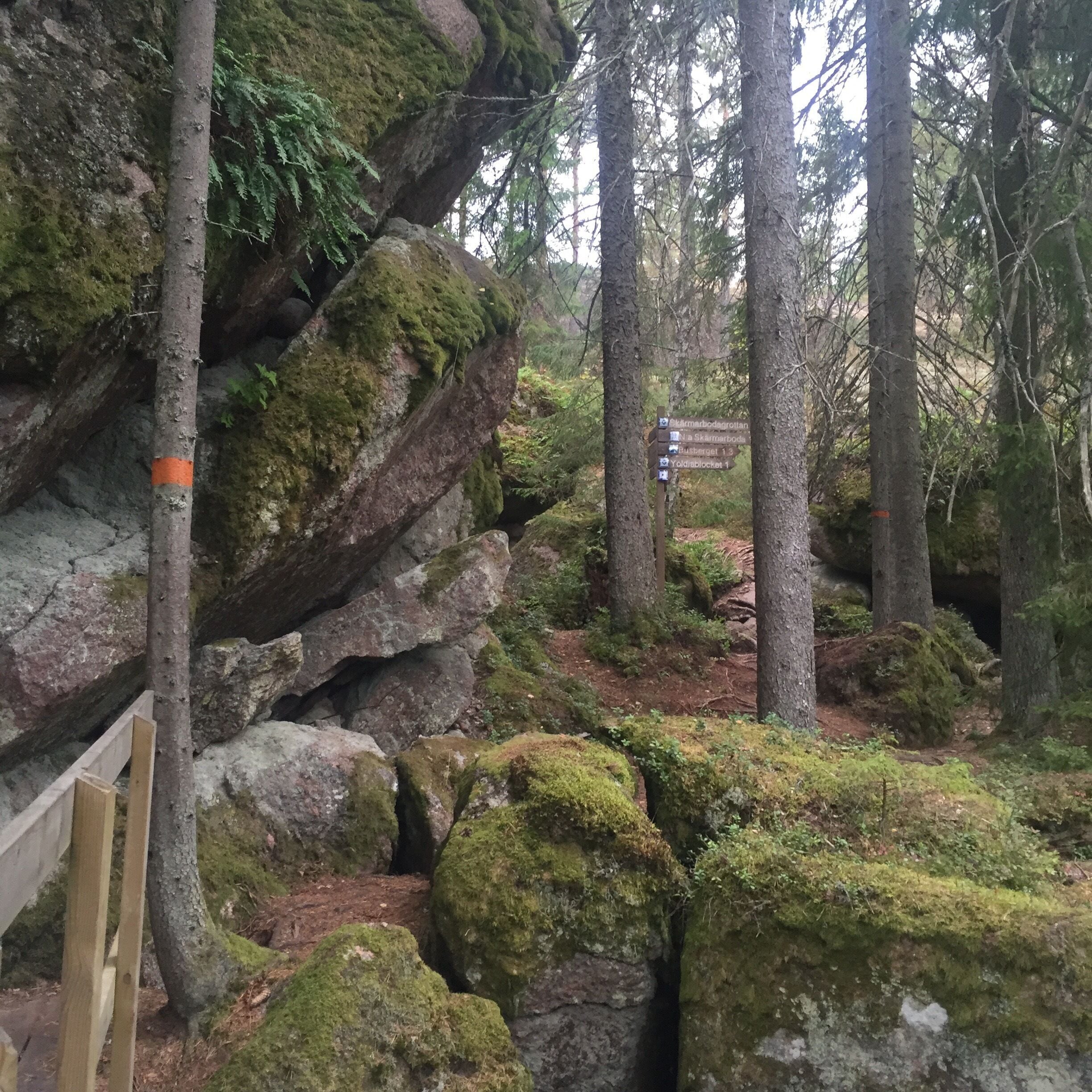 Hiking in Bergslagen. Many trails to choose from. Wonderful!