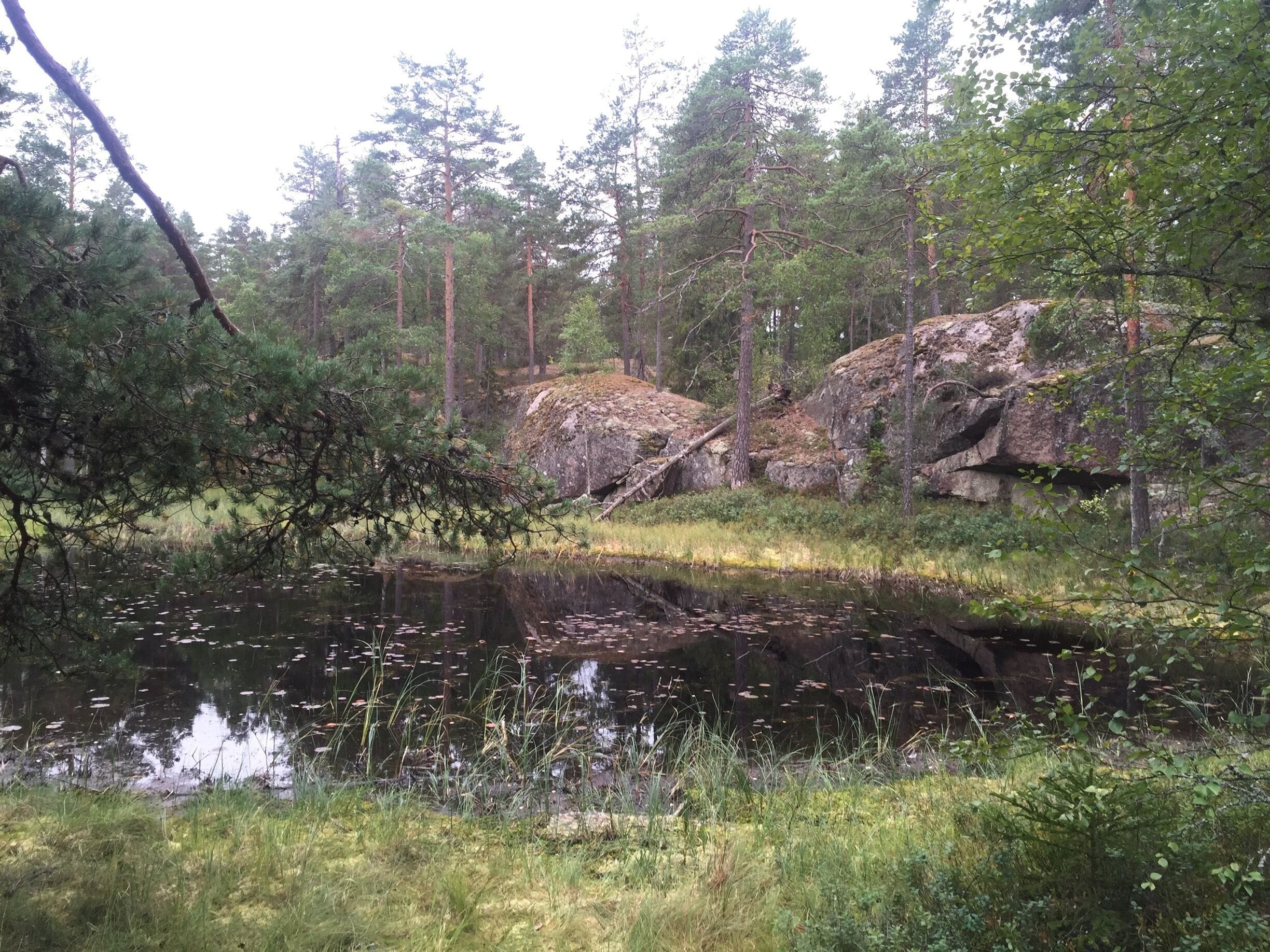 By the smallest of lakes. In Bergslagen.
