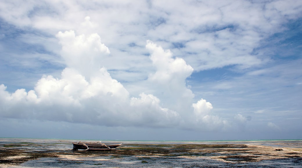 One of the nicest parts of Sansibar. Jambiani Beach. The Blue Oyster Hotel is worth every single minute to stay there.
