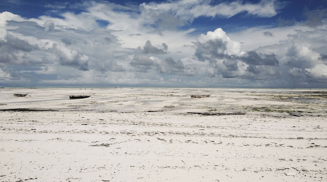 Low-tide Jambiani - our first contact with Zanzibar's beaches.
#waterlust