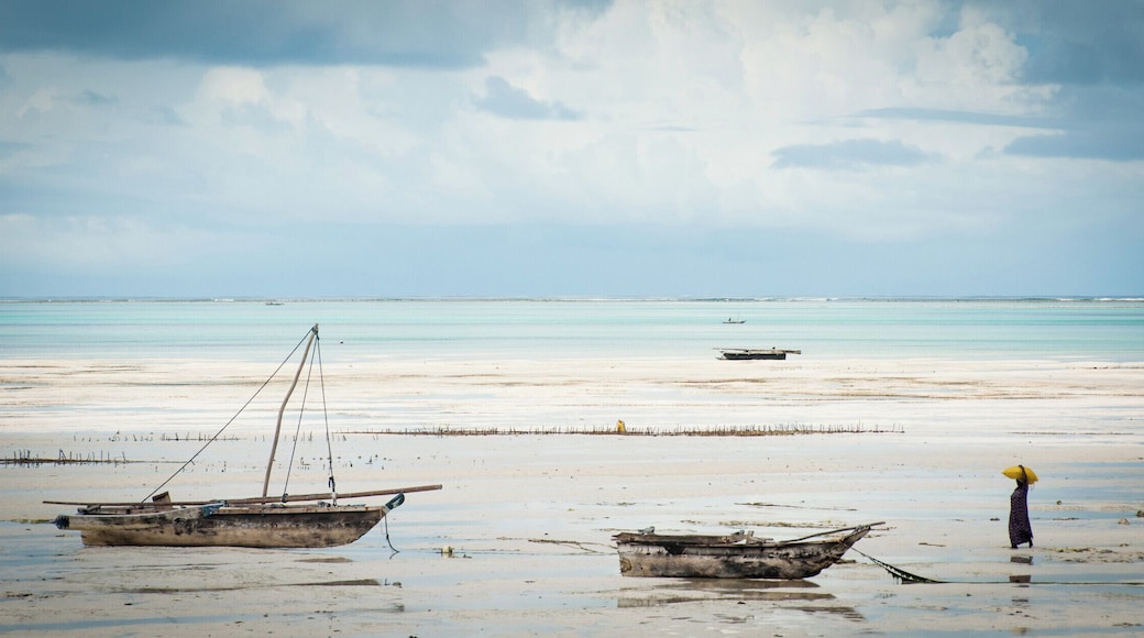 How many shades of turquoise are there, in the end?
#waterlust #blue #Reflections
P.S. My take--
https://bit.ly/39rT2eP
