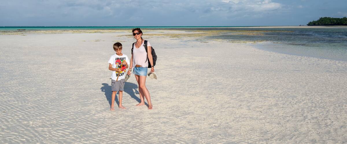 A sandy beach with a clear sky and a distant island.
