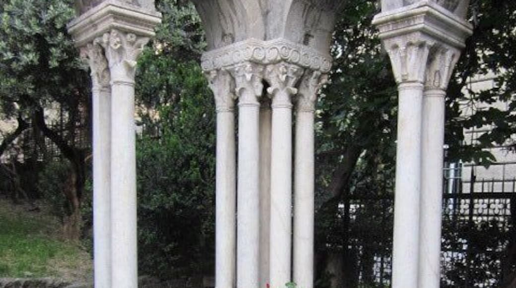 A single rosebush blooms in the corner of this ruin of a Benedictine abbey near to downtown Genoa.
Even in ruins it is a very peaceful place, and my heart is touched by a single rose bush, its blooms framed by the marble columns...
For the story behind the photos, visit https://davenotravels.blog
#culture