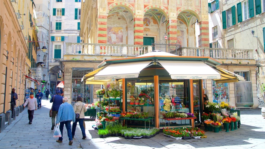 Genoa