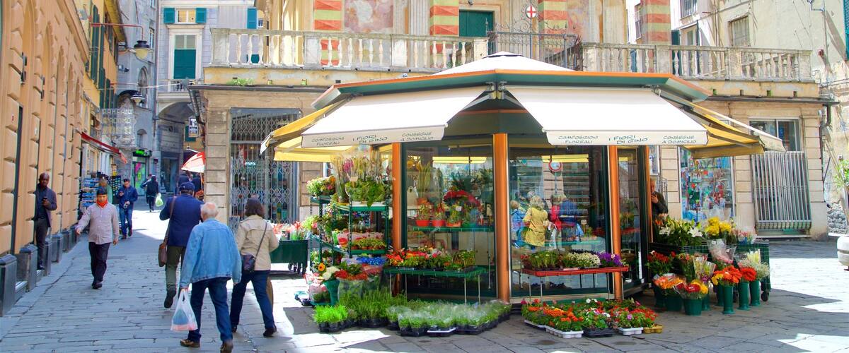 A flower market in a European city with colorful flowers and green awnings.