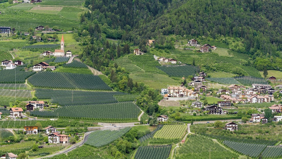 A rural village with terraced vineyards and traditional houses.