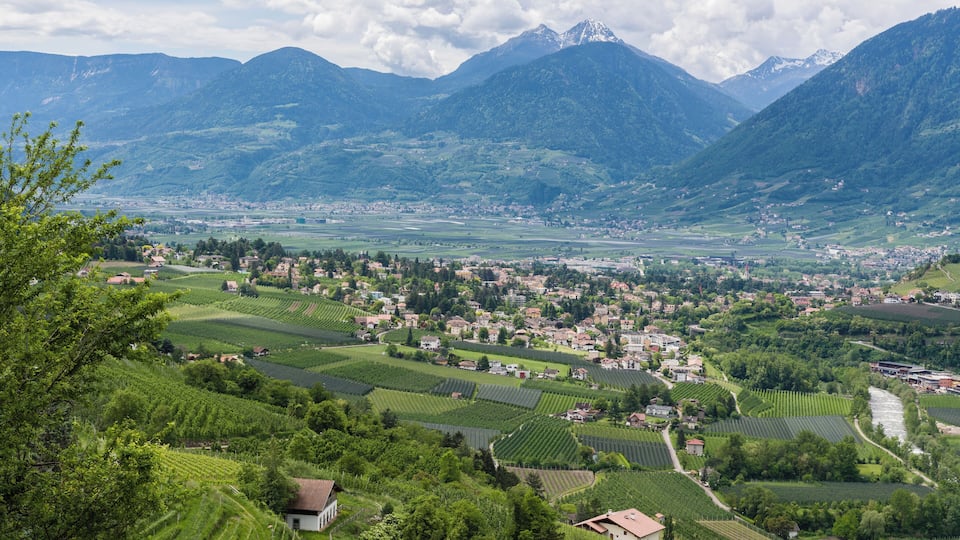 A valley with vineyards, a town, and mountains in the background.
