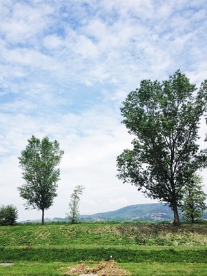 Greenish