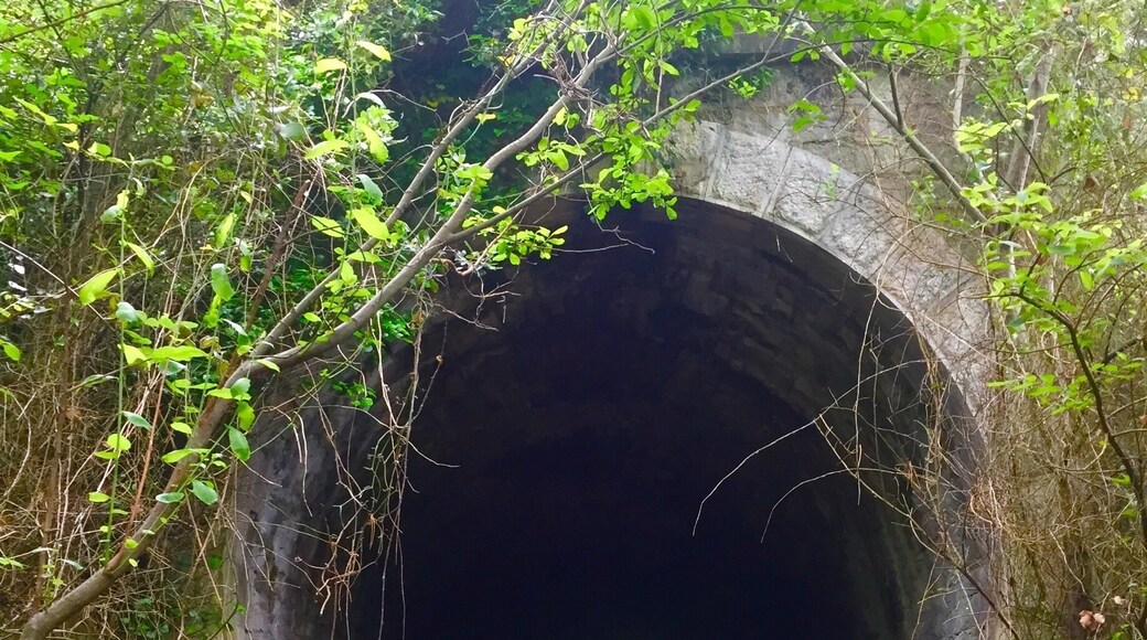 A beautiful tunnel near Deba
