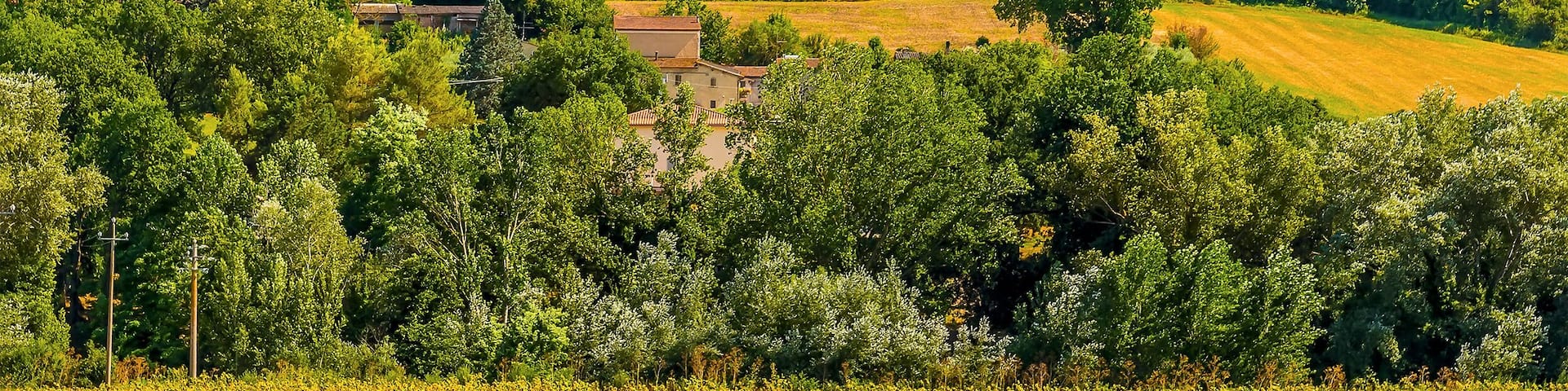A hilltop town with historic buildings, a prominent church tower, and lush greenery.