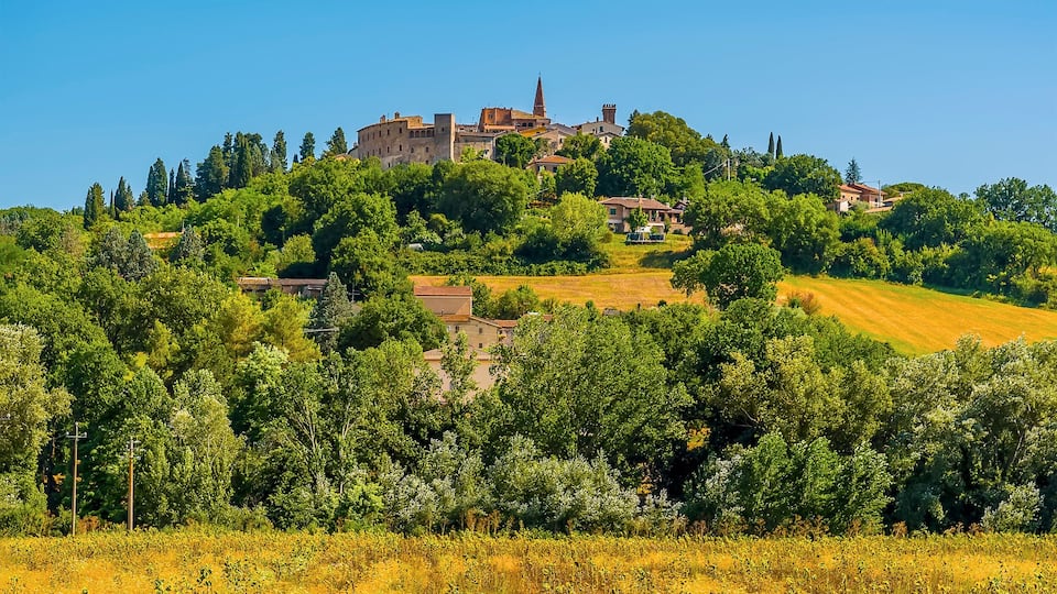 A hilltop town with historic buildings, a prominent church tower, and lush greenery.