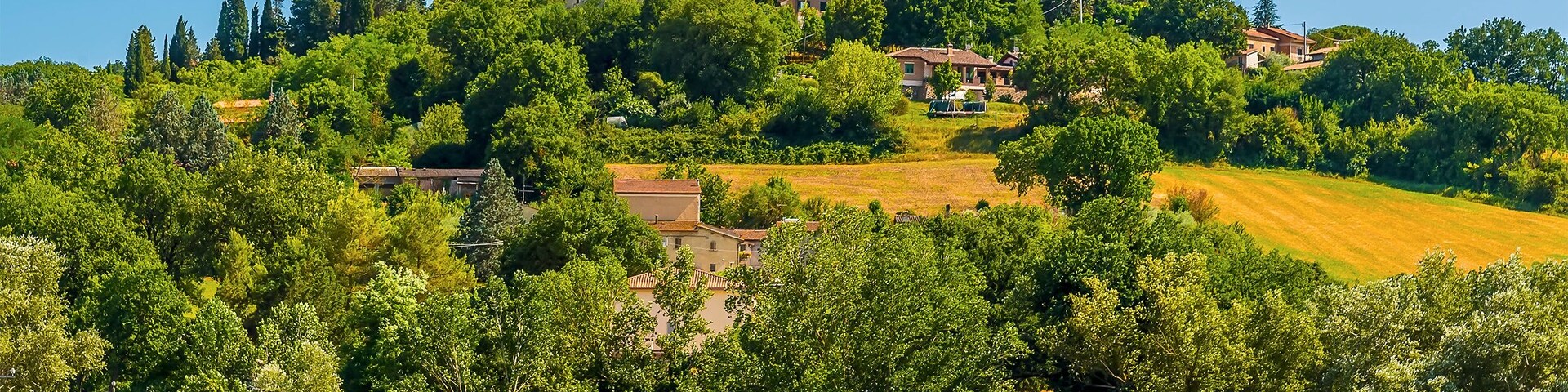 A hilltop town with historic buildings, a prominent church tower, and lush greenery.