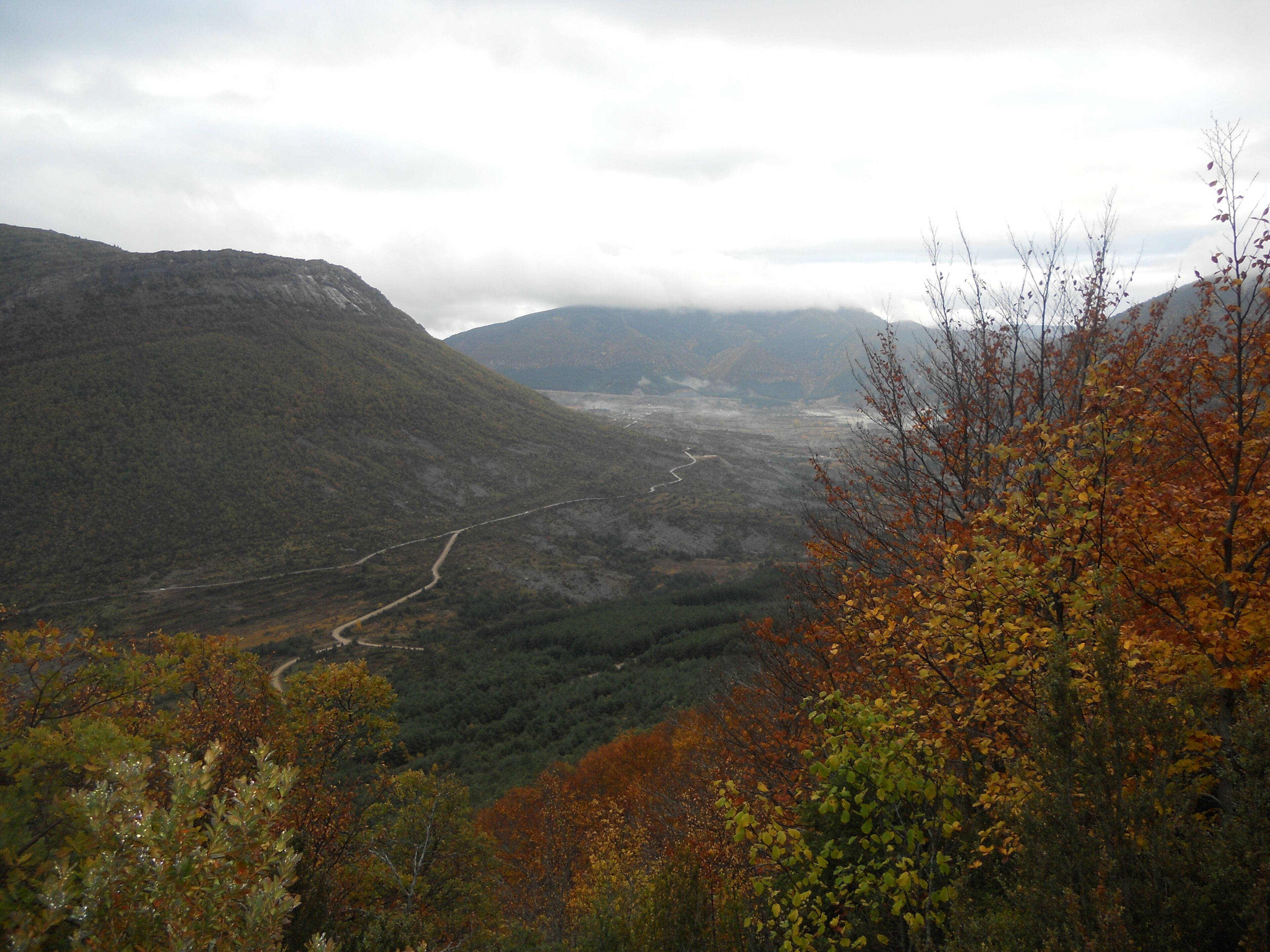 " Los colores del otoño "