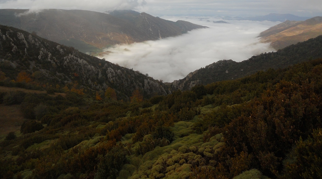 Niebla al fondo, vista al Valle de San Juan de la Peรฑa desde el Peirรณ