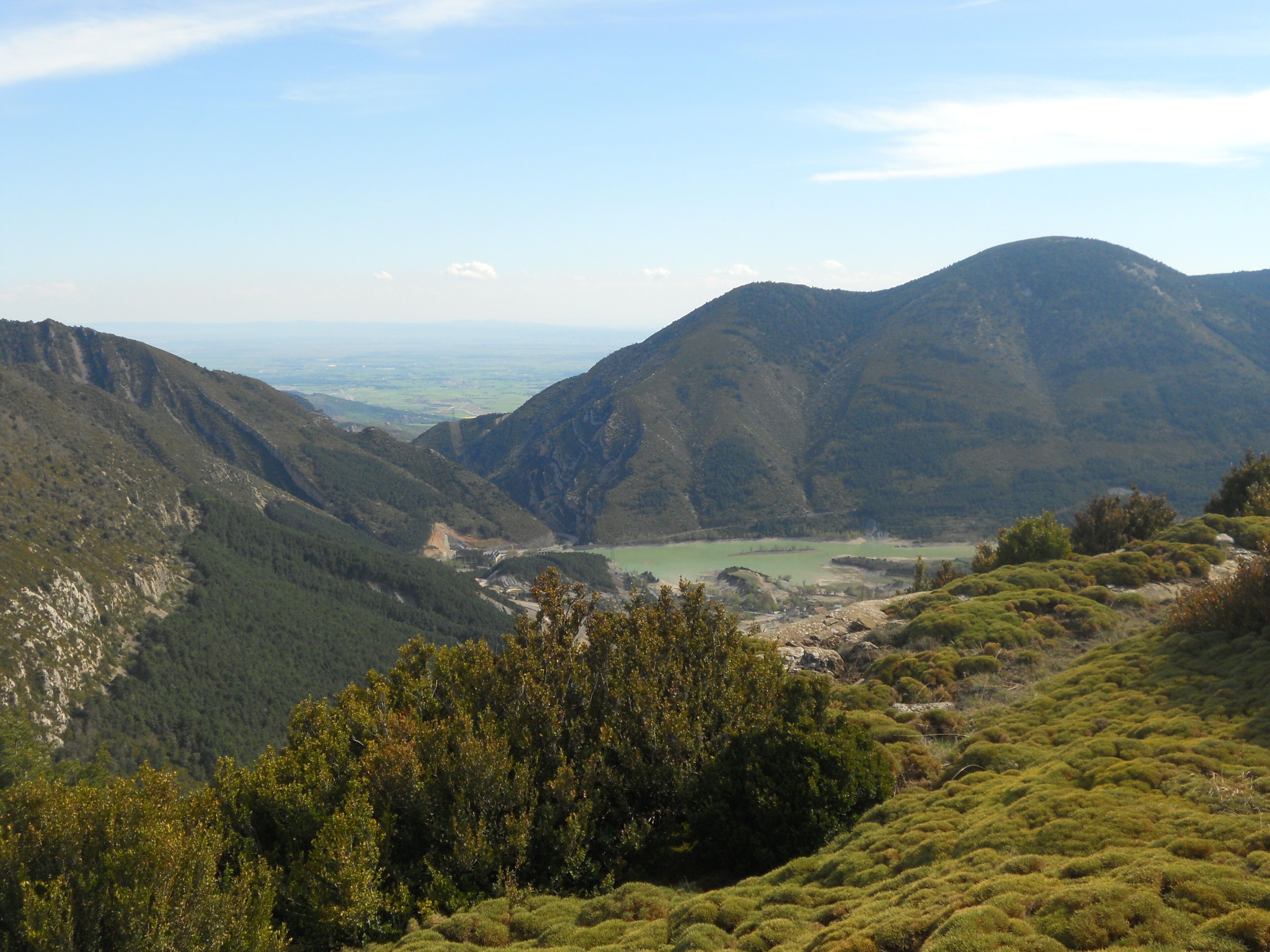 A mountainous landscape with a valley, dense forest, and a distant view of a lake.